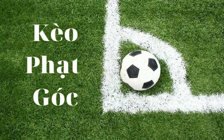Hướng Dẫn Cách Chơi Kèo Phạt Góc Bóng Đá Để Đạt Hiệu Quả Tối Ưu