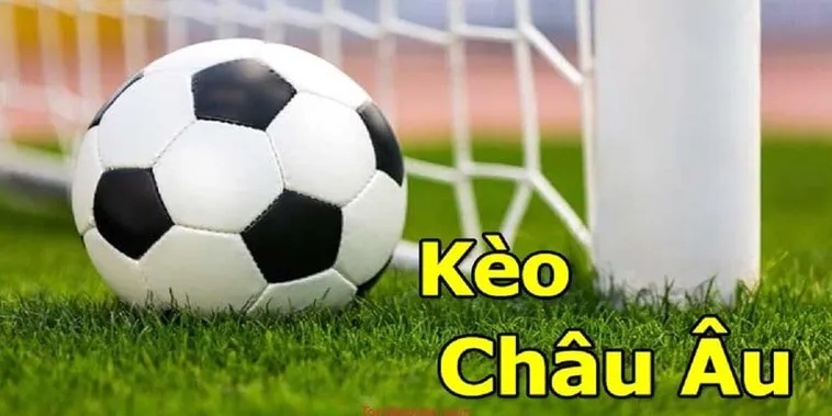 Cẩm Nang Về Cách Chơi Kèo Châu Âu Chuyên Nghiệp Cho Người Mới