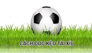 Chiến Thuật Đầu Tư Hiệu Quả Với Cách Chơi Kèo Tài Xỉu Hiệp 1