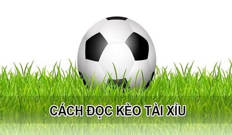 Chiến Thuật Đầu Tư Hiệu Quả Với Cách Chơi Kèo Tài Xỉu Hiệp 1 1 Chiến Thuật Đầu Tư Hiệu Quả Với Cách Chơi Kèo Tài Xỉu Hiệp 1