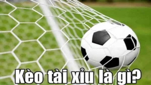 Bí Quyết Cách Chơi Kèo Tài Xỉu Bóng Đá Hiệu Quả Nhất Hiện Nay