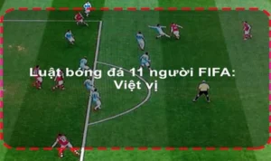 Quy Định Chuẩn Về Luật Sân Bóng Đá Thi Đấu Quốc Tế FIFA
